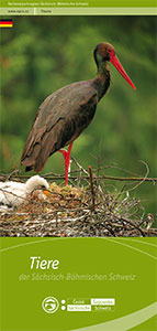 Tierwelt Sächsisch Böhmische Schweiz