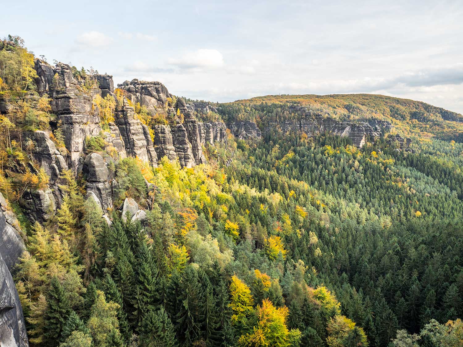 Heringsgrund - Sächsische Schweiz