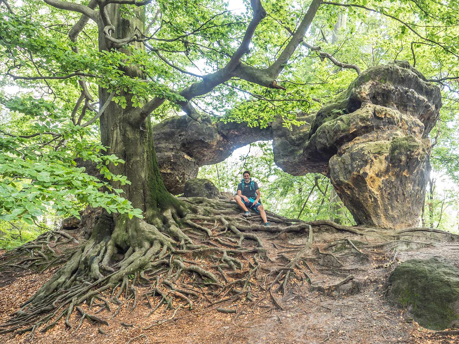 Kleines Prebischtor - Sächsische Schweiz