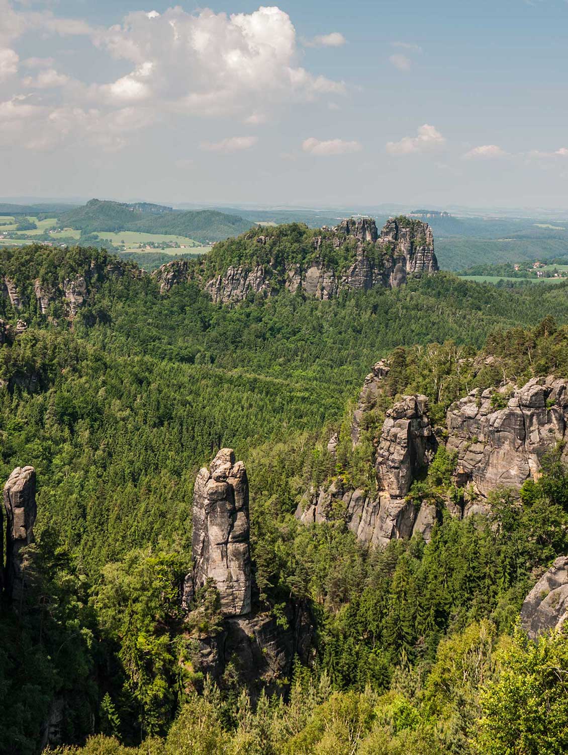 Blick vom Carolafelsen - Sächsische Schweiz