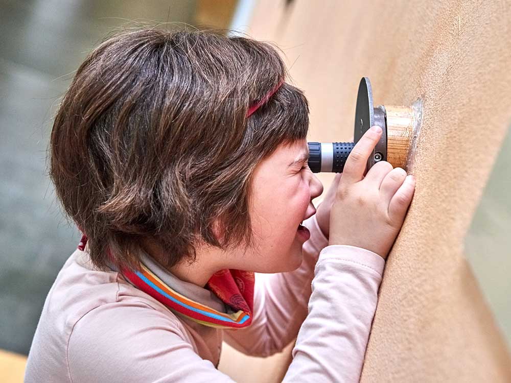 Nationalparkzentrum Sächsische Schweiz